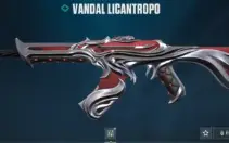 Conta Com 20 Skins ☑️1 Faca ☑️ Vandal ☑️ Entrega Automática