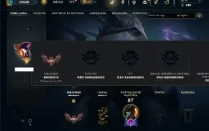 Bronze 2 com 45 Champs e 11 Skins