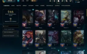 Unranked com 70 Champs e 12 Skins