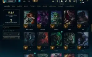 Unranked com 70 Champs e 12 Skins