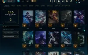 Unranked com 70 Champs e 12 Skins