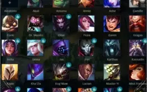 CONTA PLATINA 1 S2020 MESTRE