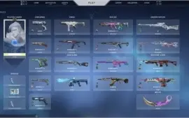 Conta Mono Sova 🏹 Ex Radiante skins Azul/Roxa