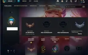 Conta bronze 2 com 37 Champs e 13 Skins