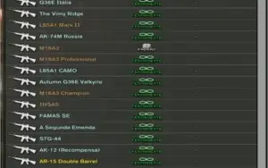 ACC COMBAT ARMS GOA +ITENS CASH