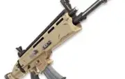 Siegebreaker ( Exterminadora de Cercos) Full Perk 106
