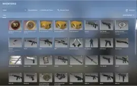 Vendo conta da steam com prime do cs go