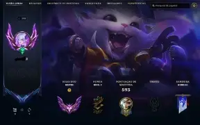 Conta Mestre - Todos os campeões, 481 Skins (skins raras)