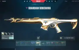 R$3000 Em Skins + Pacote Champions 2022 E Vandal Champions