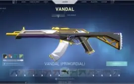 Vendo conta Valorant 350 reais gastos +Faca