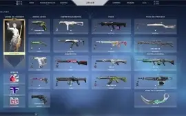 Conta de Valorant | Diamante 3 + SKINS!