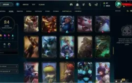 CONTA 84 SKINS