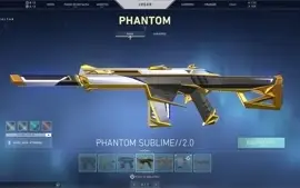 CONTA VALORANT, 660 reais em skin