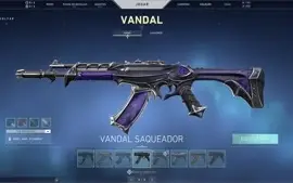 CONTA VALORANT, 660 reais em skin