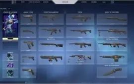 Conta VALORANT Platina 1 + VANDAL SAQUEADORA UPADA