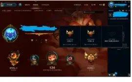 Conta Ouro2 Solo/Duo, Ouro 1 Flex