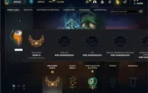 Conta ouro 2 com 26 Champs e 14 Fragmentos de Skins