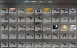 Conta Cs 2 Prime + Premier + 16.472 Pontos + $$$ Inventário