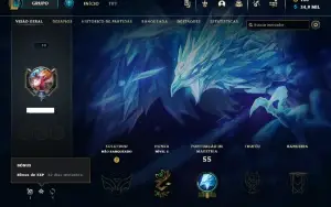 Conta nivel 30 Upada a mão + bonus de xp
