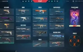 Conta Ex Radiante Com Muitas Skins // 3000 Reais Gastos