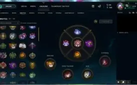 Conta LOL com muitos champs!