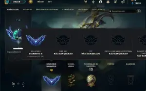 Conta diamante 2 com 24 Champs e 2 Skins