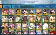 Fate grand order 32 SSr Vários Metas