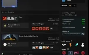 CONTA STEAM ◦ LVL 50 ◦ CS GO + MEDALS