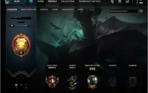 CONTA ÓTIMA PARA SMURFAR BRONZE 2 ( 53 CHAMPS )
