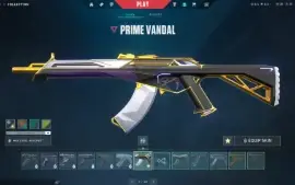 Conta Valorant - Full Acesso - Com R$600 Gastos, Várias Skin