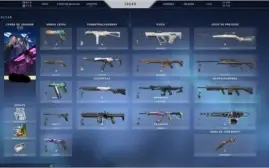 Conta Valorant Diamante - Muitas Skins