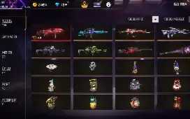 Vendo Conta De Free Fire Com Primeiro Passe E Muito Mais !!!