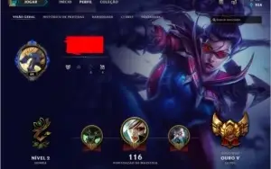 CONTA OURO NÍVEL 64 + BOAS SKINS