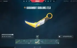 Conta Valorant +1200 Gastos, Com Vandal Rgx, Dragao, Sublime