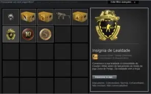 18 anos steam com prime csgo