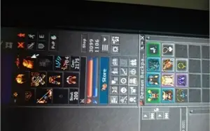 Royal Paladin level 300 (LOBERA)