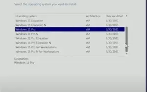 Windows 11