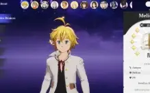 Acc 7Ds Origin