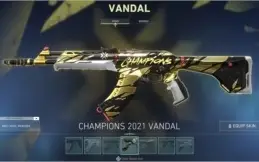Conta de valorant com o kit champions e outras skins
