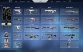 Conta de valorant com o kit champions e outras skins
