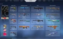 Acc Com Mta Skin + Passe