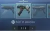 Acc Com Mta Skin + Passe