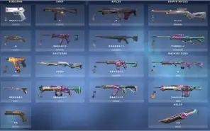 Valorant(120skins+) LoL(424Skins)