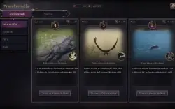 Conta Bow/Staff 3750 Gs + 2 Alts Sa/Na
