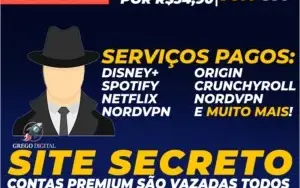 [Exclusivo] Site Secreto Para Pegar Contas Premium de Graça!
