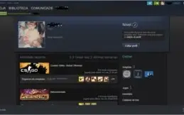 Steam CSGO PRIME