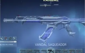 Conta valorant 1038 reais gastos