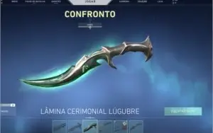 Conta valorant 1038 reais gastos