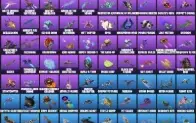 Conta Fortnite Tryhard Renegade