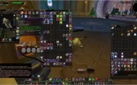 Acc com druida feral e pala Retri wow brasil
